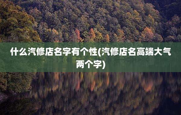 什么汽修店名字有个性(汽修店名高端大气两个字)