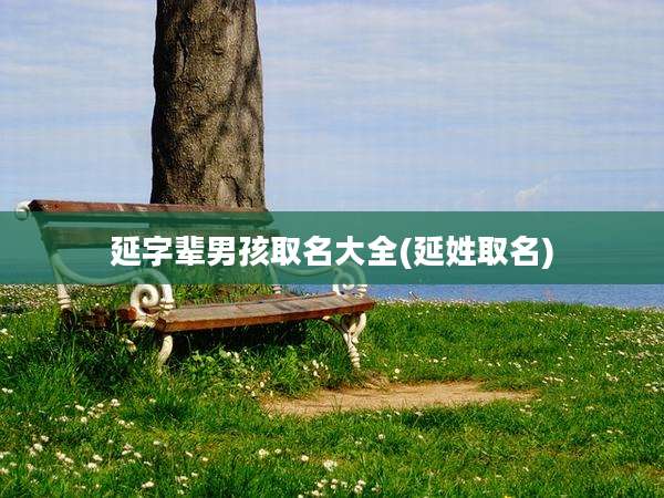 延字辈男孩取名大全(延姓取名)