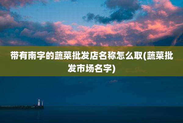 带有南字的蔬菜批发店名称怎么取(蔬菜批发市场名字)