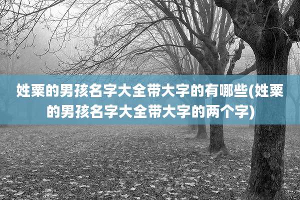 姓粟的男孩名字大全带大字的有哪些(姓粟的男孩名字大全带大字的两个字)
