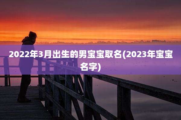 2022年3月出生的男宝宝取名(2023年宝宝名字)