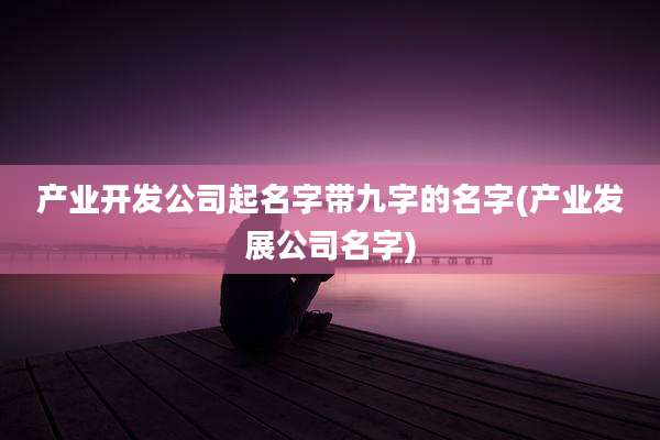 产业开发公司起名字带九字的名字(产业发展公司名字)