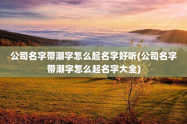 公司名字带潮字怎么起名字好听(公司名字带潮字怎么起名字大全)