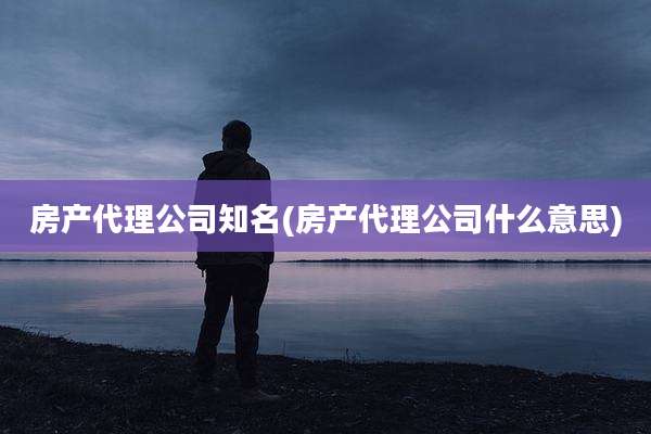 房产代理公司知名(房产代理公司什么意思)