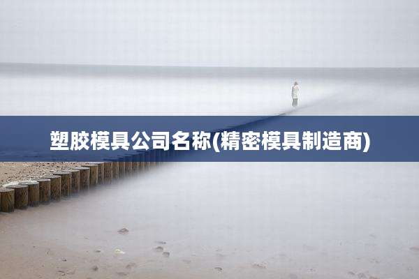 塑胶模具公司名称(精密模具制造商)