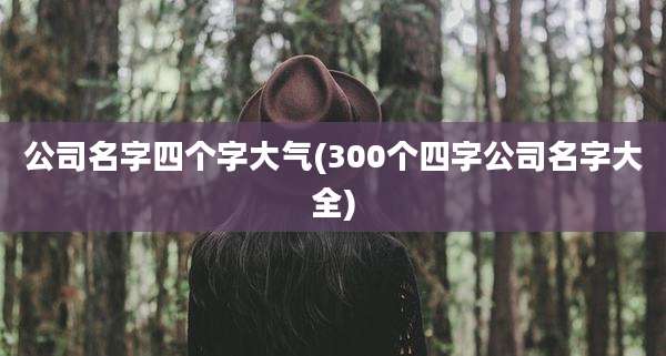 公司名字四个字大气(300个四字公司名字大全)