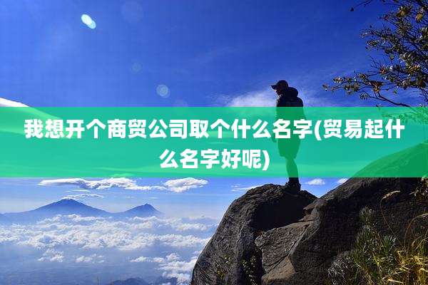 我想开个商贸公司取个什么名字(贸易起什么名字好呢)