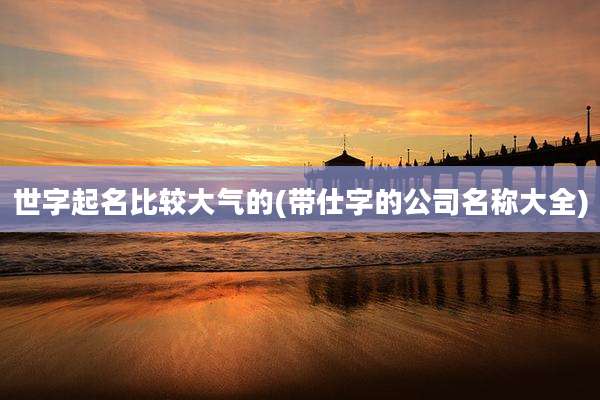 世字起名比较大气的(带仕字的公司名称大全)