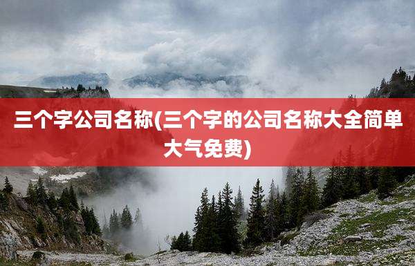 三个字公司名称(三个字的公司名称大全简单大气免费)