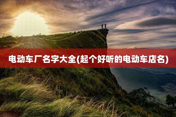 电动车厂名字大全(起个好听的电动车店名)