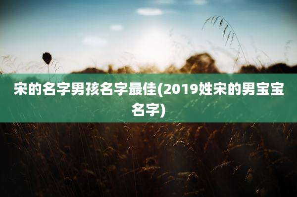 宋的名字男孩名字最佳(2019姓宋的男宝宝名字)