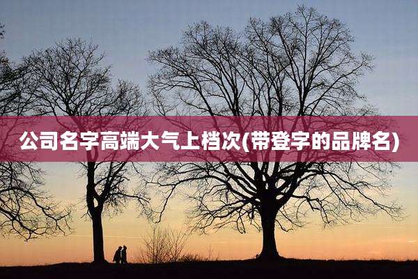 公司名字高端大气上档次(带登字的品牌名)