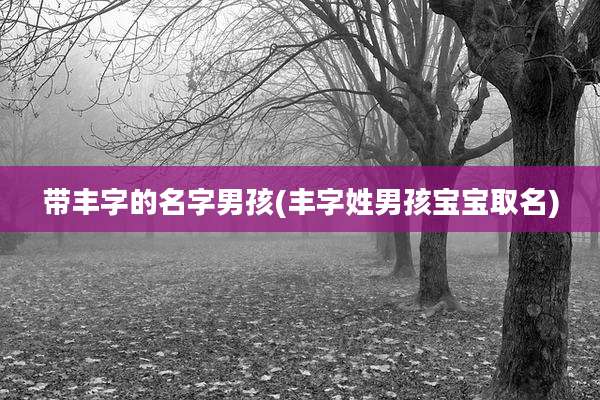 带丰字的名字男孩(丰字姓男孩宝宝取名)