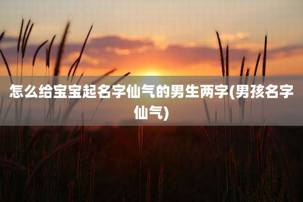怎么给宝宝起名字仙气的男生两字(男孩名字仙气)