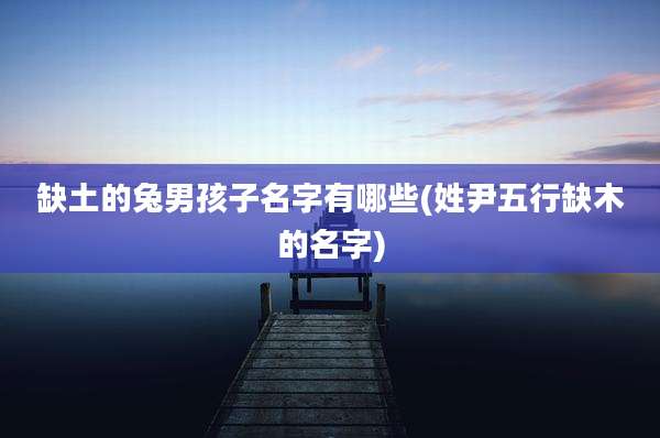 缺土的兔男孩子名字有哪些(姓尹五行缺木的名字)