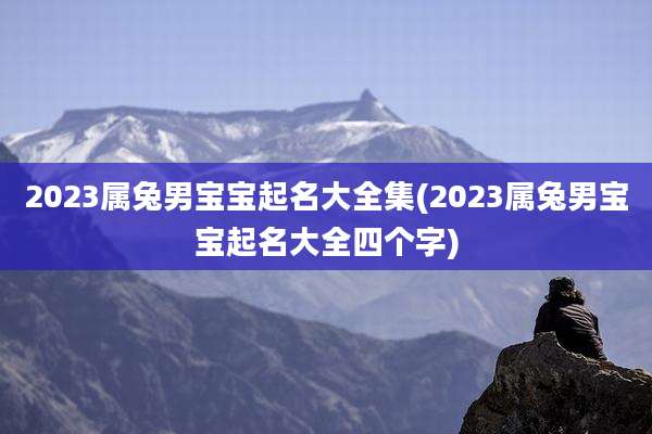 2023属兔男宝宝起名大全集(2023属兔男宝宝起名大全四个字)