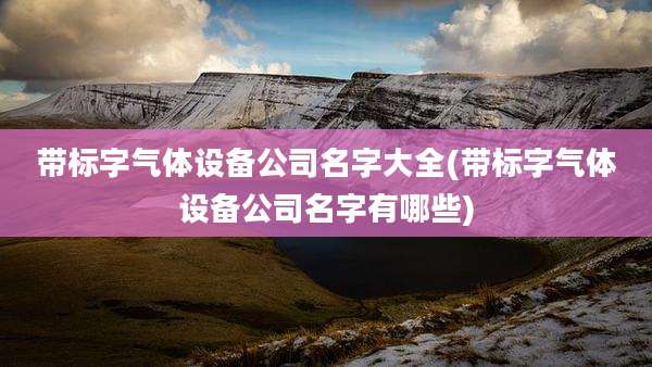 带标字气体设备公司名字大全(带标字气体设备公司名字有哪些)
