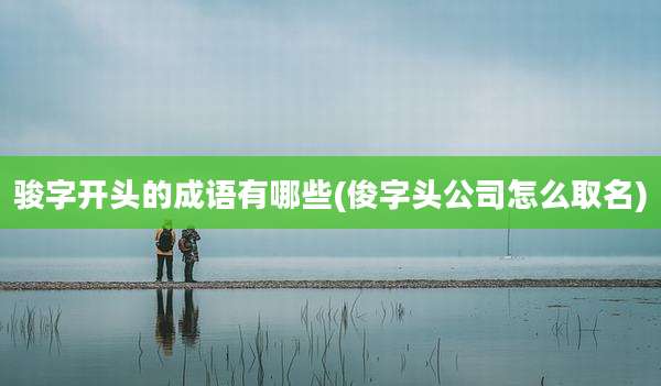 骏字开头的成语有哪些(俊字头公司怎么取名)