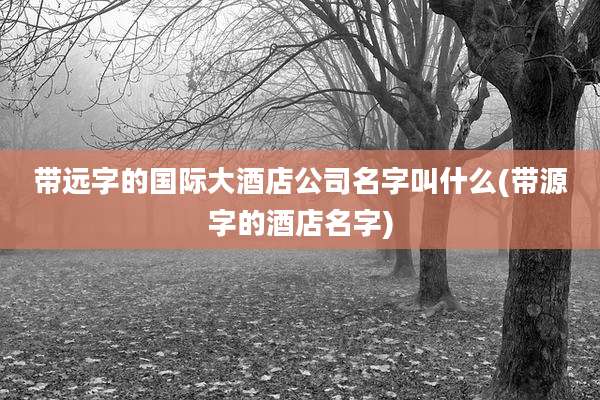带远字的国际大酒店公司名字叫什么(带源字的酒店名字)