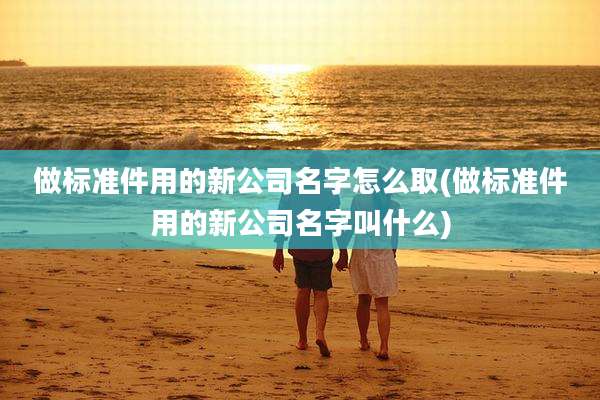 做标准件用的新公司名字怎么取(做标准件用的新公司名字叫什么)