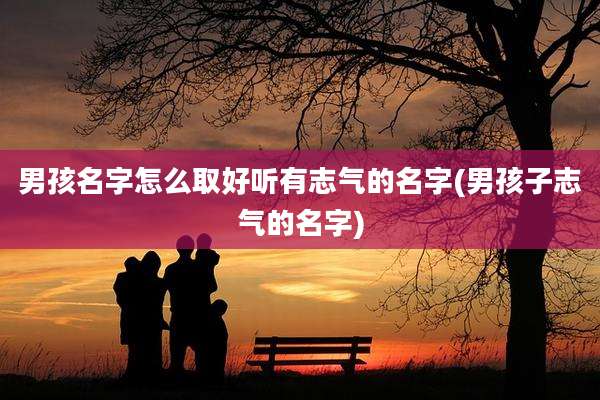 男孩名字怎么取好听有志气的名字(男孩子志气的名字)