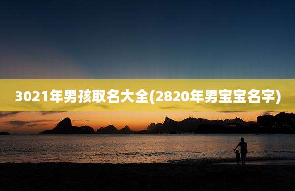 3021年男孩取名大全(2820年男宝宝名字)
