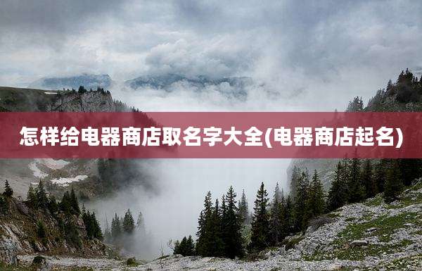 怎样给电器商店取名字大全(电器商店起名)