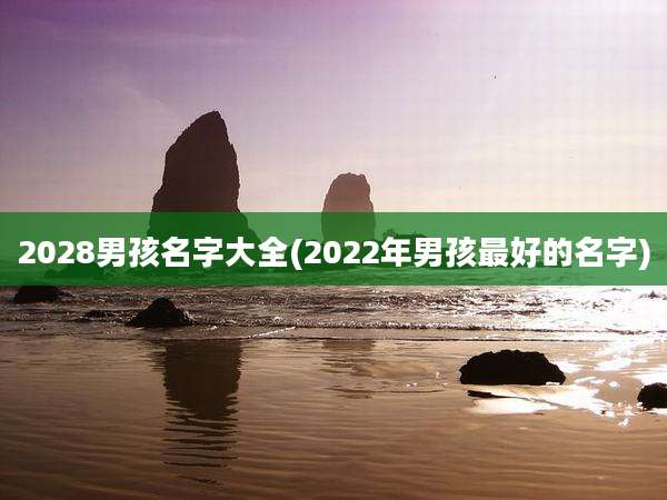 2028男孩名字大全(2022年男孩最好的名字)