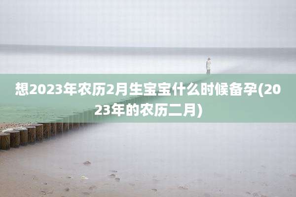 想2023年农历2月生宝宝什么时候备孕(2023年的农历二月)