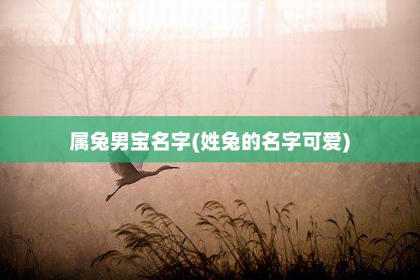 属兔男宝名字(姓兔的名字可爱)