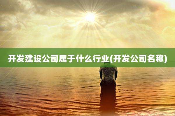 开发建设公司属于什么行业(开发公司名称)
