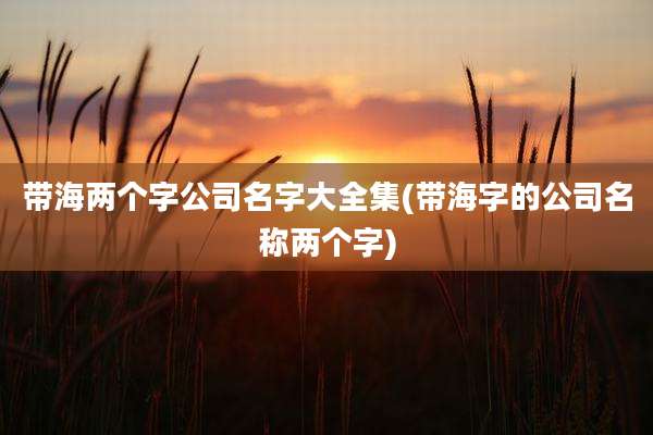 带海两个字公司名字大全集(带海字的公司名称两个字)