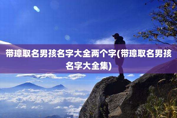 带璋取名男孩名字大全两个字(带璋取名男孩名字大全集)