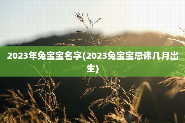 2023年兔宝宝名字(2023兔宝宝忌讳几月出生)