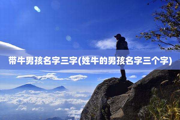 带牛男孩名字三字(姓牛的男孩名字三个字)