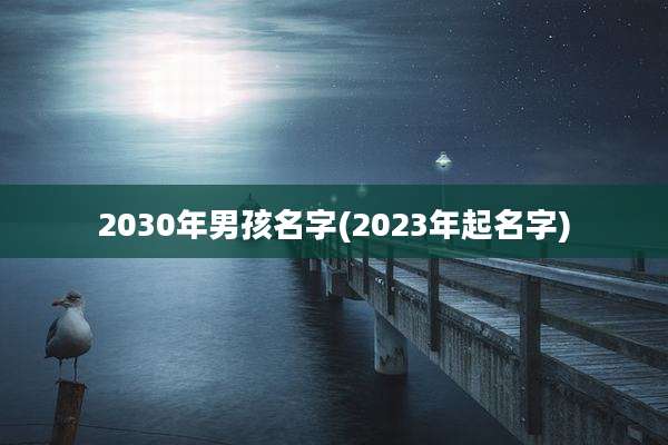 2030年男孩名字(2023年起名字)