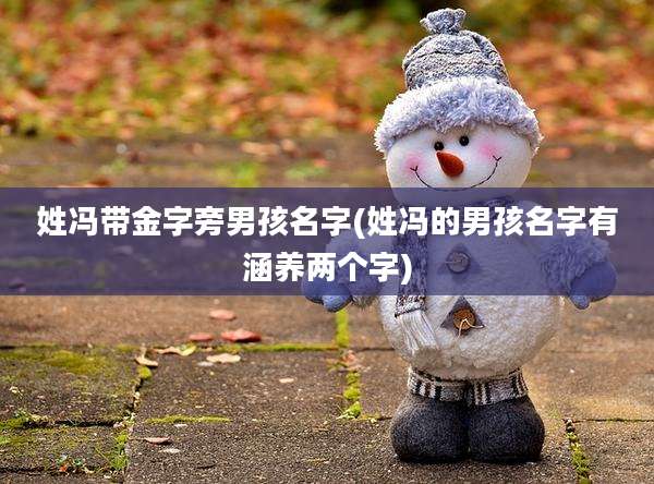 姓冯带金字旁男孩名字(姓冯的男孩名字有涵养两个字)