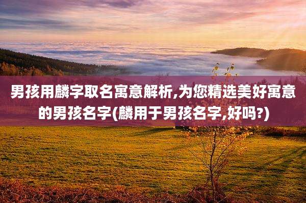 男孩用麟字取名寓意解析,为您精选美好寓意的男孩名字(麟用于男孩名字,好吗?)