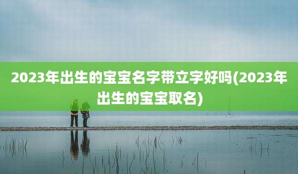 2023年出生的宝宝名字带立字好吗(2023年出生的宝宝取名)