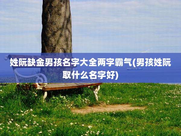 姓阮缺金男孩名字大全两字霸气(男孩姓阮取什么名字好)