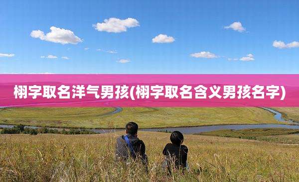 栩字取名洋气男孩(栩字取名含义男孩名字)