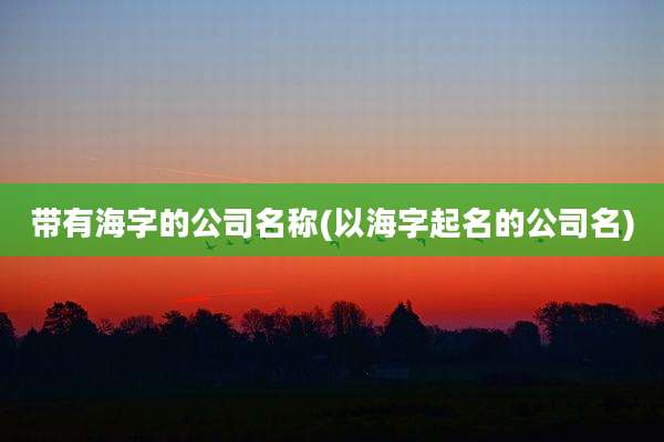 带有海字的公司名称(以海字起名的公司名)