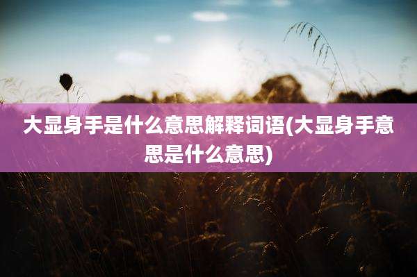 大显身手是什么意思解释词语(大显身手意思是什么意思)