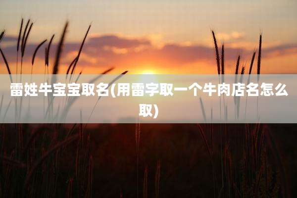 雷姓牛宝宝取名(用雷字取一个牛肉店名怎么取)