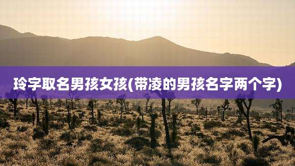 玲字取名男孩女孩(带凌的男孩名字两个字)