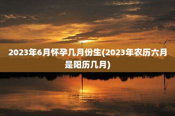 2023年6月怀孕几月份生(2023年农历六月是阳历几月)