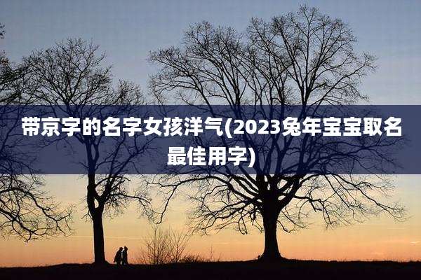 带京字的名字女孩洋气(2023兔年宝宝取名最佳用字)