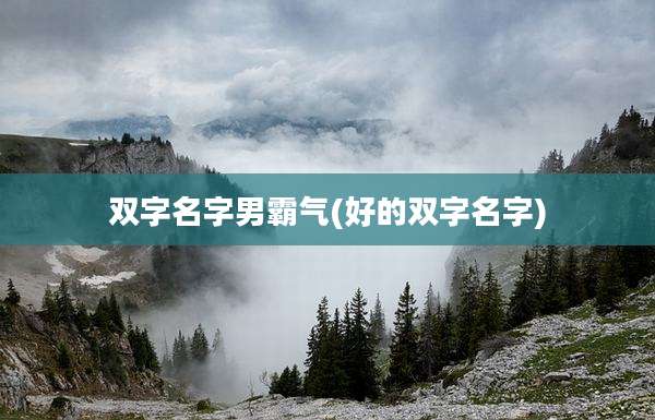 双字名字男霸气(好的双字名字)