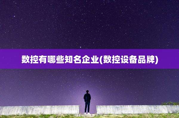 数控有哪些知名企业(数控设备品牌)