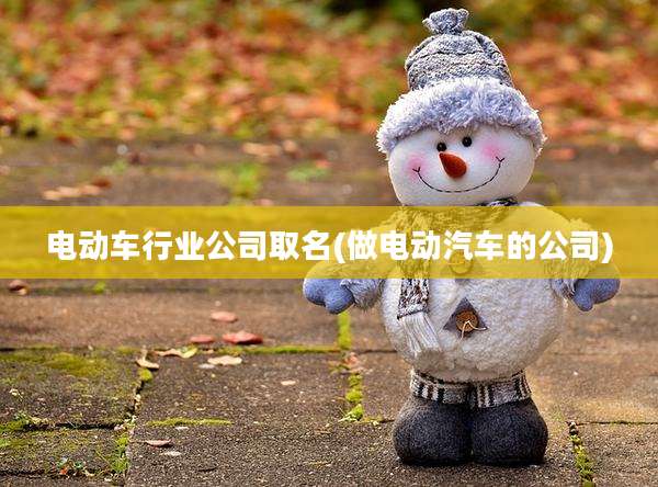 电动车行业公司取名(做电动汽车的公司)